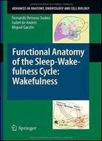 Functional Anatomy Of The Sleep-Wakefulness Cycle