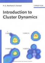 Introduction To Cluster Dynamics (Biotechnology: A Multi-Volume Comprehensive Treatise)