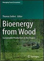 Bioenergy From Wood: Sustainable Production In The Tropics (Managing Forest Ecosystems)