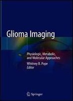 Glioma Imaging: Physiologic, Metabolic, And Molecular Approaches