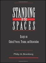 Standing In The Spaces: Essays On Clinical Process Trauma And Dissociation