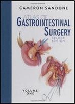 Atlas Of Gastrointestinal Surgery