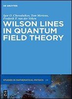 Wilson Lines In Quantum Field Theory (De Gruyter Studies In Mathematical Physics)