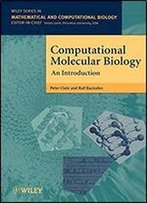 Computational Molecular Biology: An Introduction 1st Edition