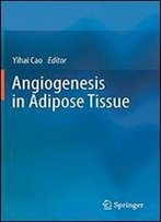 Angiogenesis In Adipose Tissue