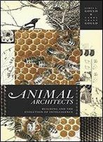 Animal Architects: Building And The Evolution Of Intelligence