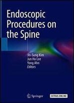 Endoscopic Procedures On The Spine
