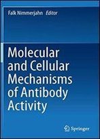 Molecular And Cellular Mechanisms Of Antibody Activity