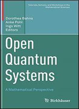 Open Quantum Systems: A Mathematical Perspective