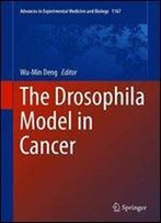 The Drosophila Model In Cancer