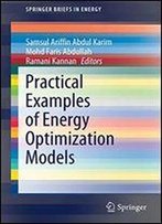 Practical Examples Of Energy Optimization Models (Springerbriefs In Energy)