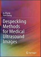 Despeckling Methods For Medical Ultrasound Images
