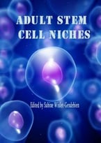 Adult Stem Cell Niches