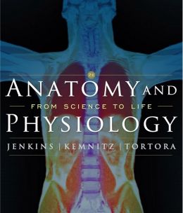 Anatomy And Physiology: From Science To Life (2Nd Edition)