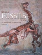 Bringing Fossils To Life: An Introduction To Paleobiology (2nd Edition)