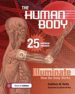 Human Body: 25 Fantastic Projects Illuminate How The Body Works