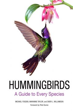 Hummingbirds: A Guide To Every Species