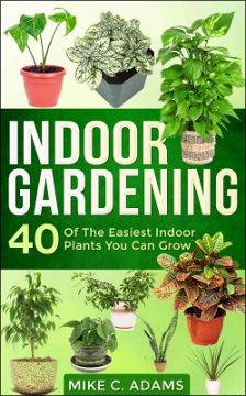 Indoor Gardening: 40 Of The Easiest Indoor Plants You Can Grow