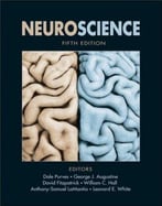 Neuroscience, 5th Edition