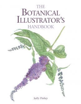 The Botanical Illustrator’S Handbook