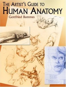 The Artist’S Guide To Human Anatomy