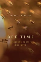 Bee Time: Lessons From The Hive