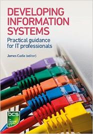 Developing Information Systems: Practical Guidance For It Professionals