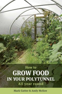 How To Grow Food In Your Polytunnel: All Year Round