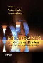 Membranes For Membrane Reactors: Preparation, Optimization And Selection