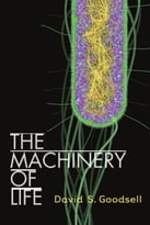 The Machinery Of Life
