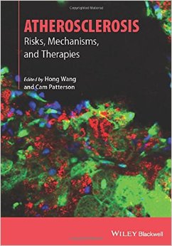Atherosclerosis: Risks, Mechanisms, And Therapies