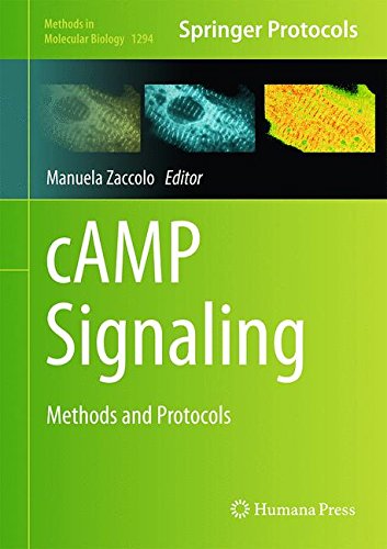 Camp Signaling: Methods And Protocols