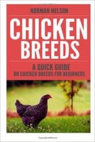 Chicken Breeds: A Quick Guide On Chicken Breeds For Beginners