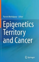 Epigenetics Territory And Cancer