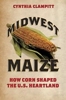 Midwest Maize: How Corn Shaped The U.S. Heartland