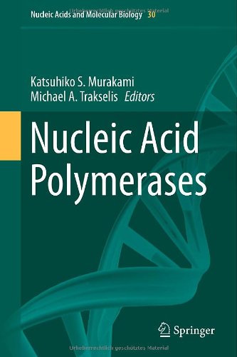 Nucleic Acid Polymerases (Nucleic Acids And Molecular Biology)