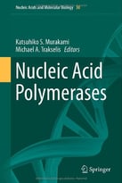 Nucleic Acid Polymerases (Nucleic Acids And Molecular Biology)