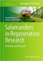 Salamanders In Regeneration Research: Methods And Protocols