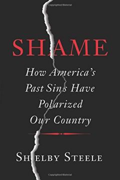 Shame: How America’S Past Sins Have Polarized Our Country