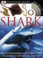 Shark (Dk Eyewitness Books) By Miranda Macquitty