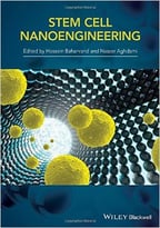 Stem Cell Nanoengineering