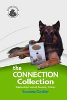 The Connection Collection