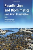 Bioadhesion And Biomimetics: From Nature To Applications