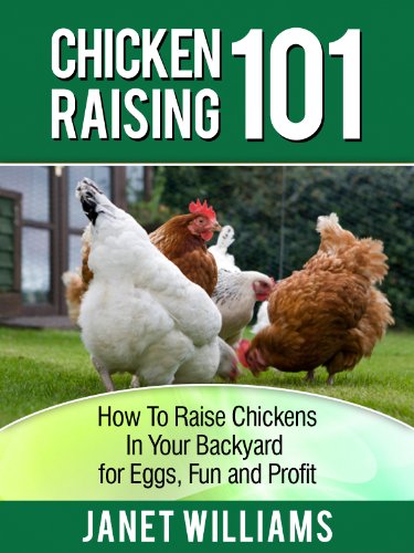 Chicken Raising 101: How To Raise Chickens In Your ...