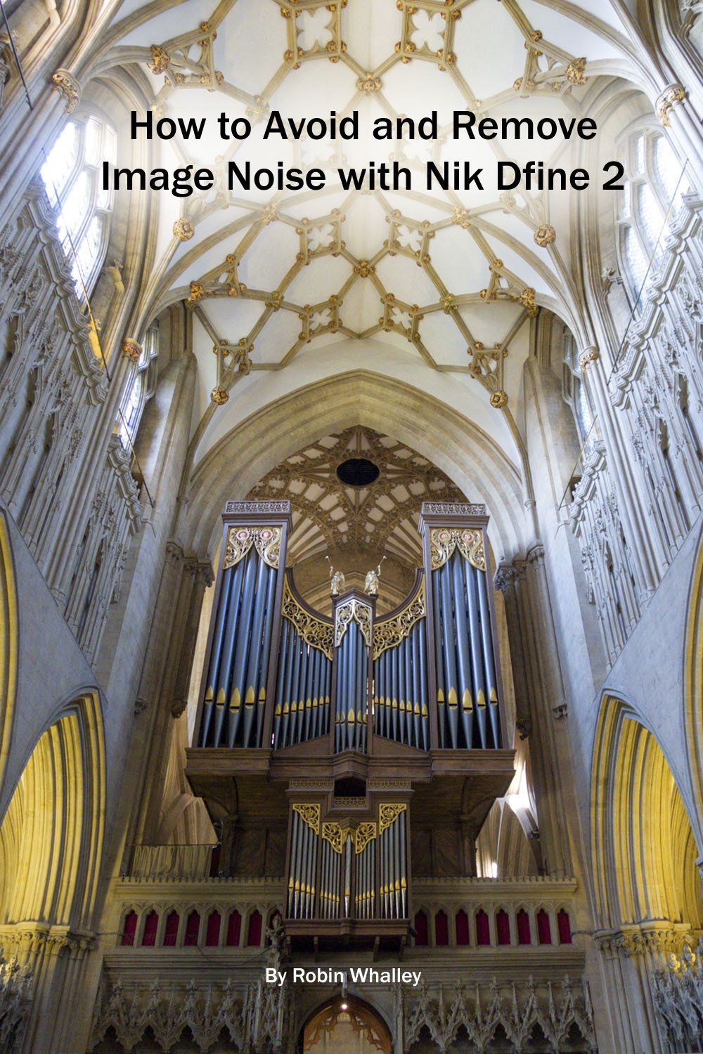 How To Avoid And Remove Image Noise With Nik Dfine 2