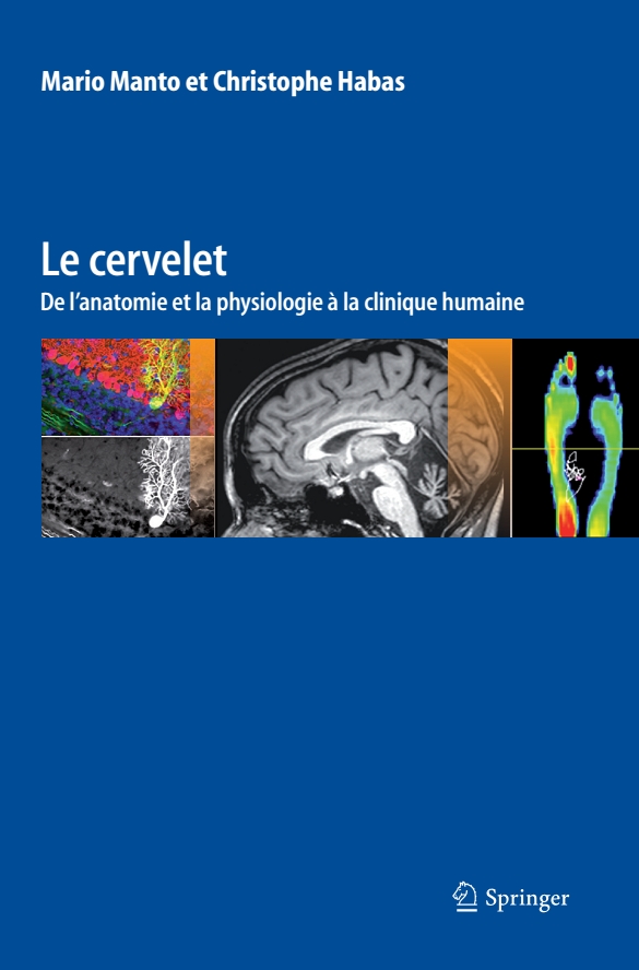 Le Cervelet:  De L’Anatomie Et La Physiologie À La Clinique Humaine