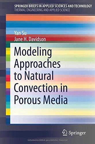 Modeling Approaches To Natural Convection In Porous Media
