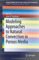 Modeling Approaches To Natural Convection In Porous Media