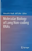 Molecular Biology Of Long Non-Coding Rnas