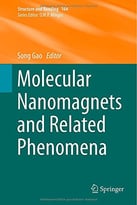 Molecular Nanomagnets And Related Phenomena